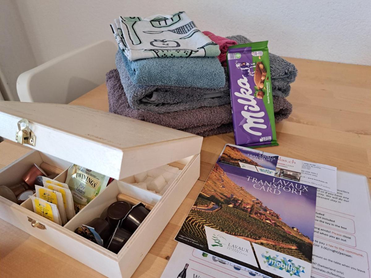 Les échalas I - Appartement avec cuisine et place privée au cœur du Lavaux, Unesco Chexbres Extérieur photo