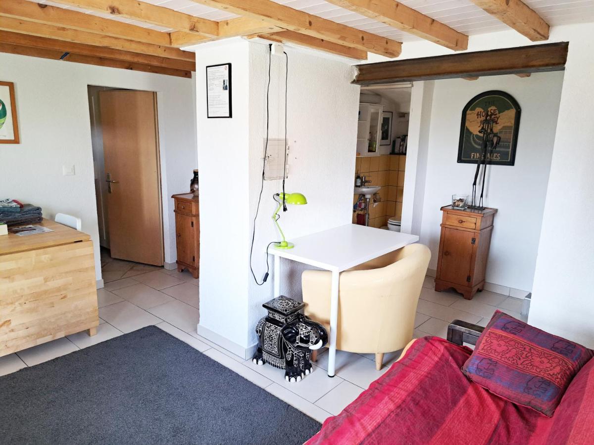 Les échalas I - Appartement avec cuisine et place privée au cœur du Lavaux, Unesco Chexbres Extérieur photo